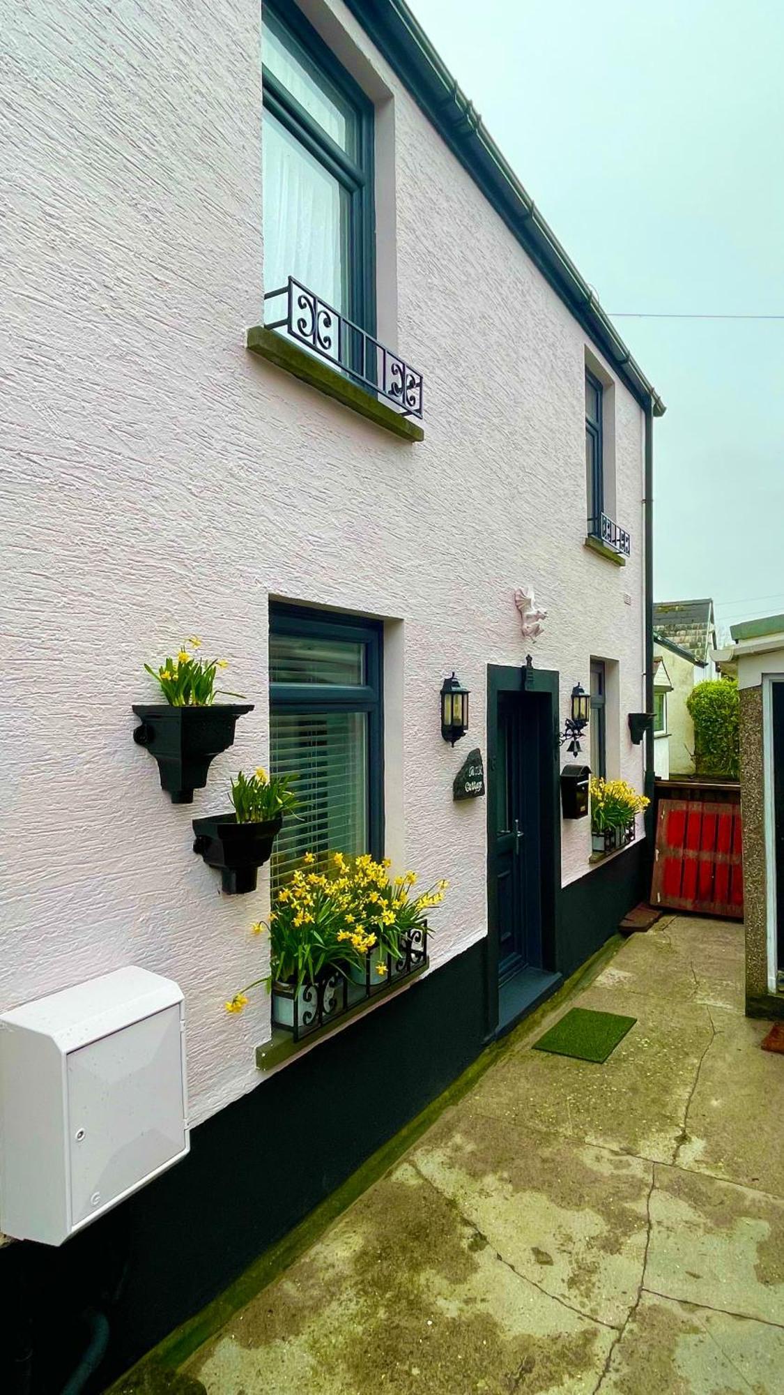 Beautiful Mumbles/Gower Cottage Swansea Exteriér fotografie